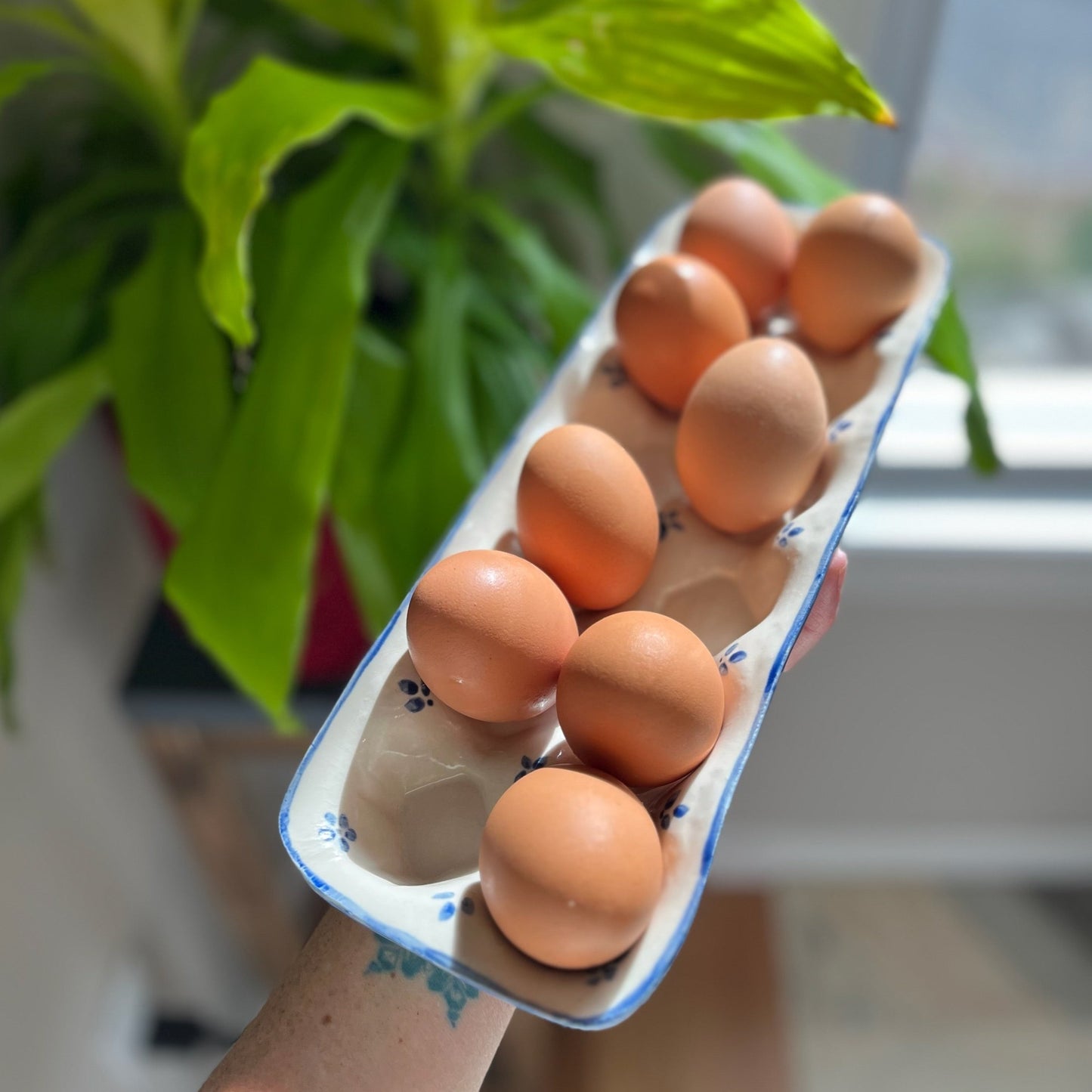 Egg Tray - French Provençal